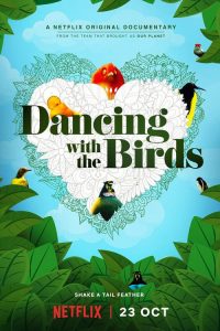 Dança dos Pássaros (2019) Online