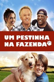 Um Pestinha na Fazenda (2012) Online