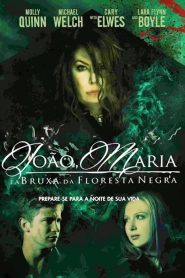 João, Maria e a Bruxa da Floresta Negra (2013) Online