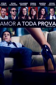 Amor a Toda Prova (2011) Online