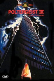 Poltergeist III – O Capítulo Final (1988) Online