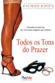 Todos Os Tons do Prazer – Pleasure or Pain (2013) Online