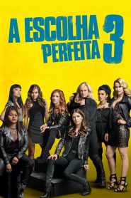 A Escolha Perfeita 3 (2017) Online