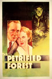 A Floresta Petrificada (1936) Online