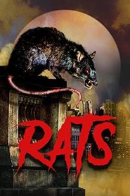 Ratos (2003) Online