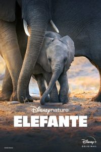 Elefante (2020) Online
