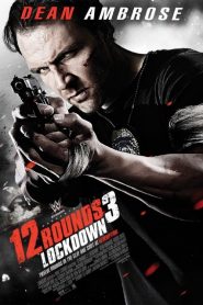 12 Rounds 3: Caçada Mortal (2015) Online