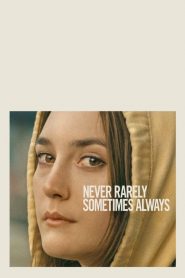 Nunca, Raramente, Às Vezes, Sempre (2020) Online