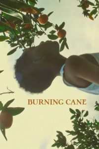 Burning Cane (2019) Online