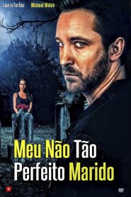 Meu Não Tão Perfeito Marido (2019) Online