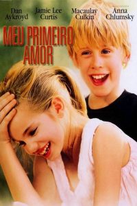 Meu Primeiro Amor (1991) Online