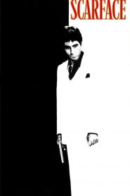 Scarface (1983) Online
