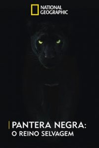 Pantera Negra: O Reino Selvagem (2020) Online