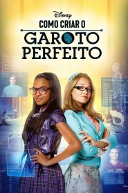 Como Criar o Garoto Perfeito (2014) Online