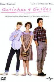 Gatinhas e Gatões (1984) Online