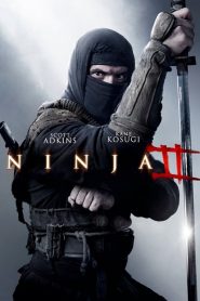 Ninja 2: A Vingança (2013) Online