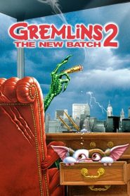 Gremlins 2: A Nova Geração (1990) Online