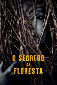 O Segredo da Floresta (2019) Online