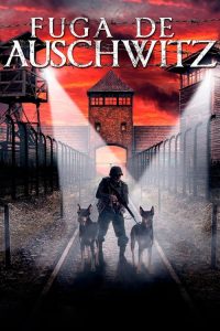 Fuga de Auschwitz (2020) Online