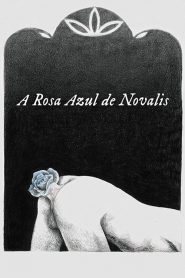 A Rosa Azul de Novalis (2018) Online