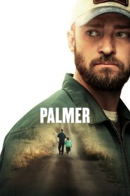 Palmer (2021) Online