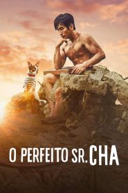 O Perfeito Sr. Cha (2021) Online