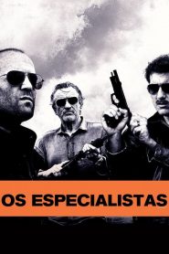 Os Especialistas (2011) Online