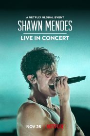 Shawn Mendes: Viver em Concerto (2020) Online