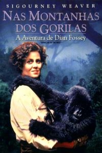 Nas Montanhas dos Gorilas (1988) Online