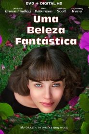 Uma Beleza Fantástica (2016) Online