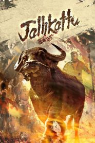 Jallikattu (2019) Online