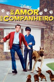 Um Amor de Companheiro (1966) Online