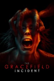 O Incidente de Gracefield (2017) Online