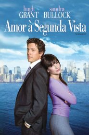 Amor à Segunda Vista (2002) Online
