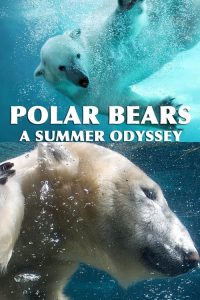 Ursos Polares – Uma Odisseia No Verão (2012) Online