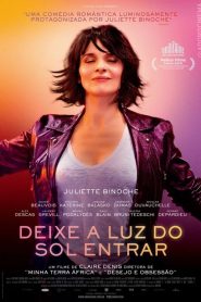 Deixe a Luz do Sol Entrar (2017) Online