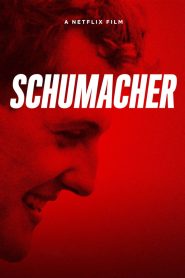 Schumacher (2021) Online