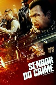 Senhor do Crime (2013) Online