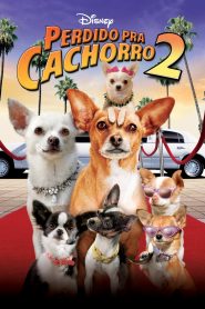 Perdido pra Cachorro 2 (2011) Online