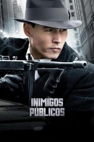 Inimigos Públicos (2009) Online