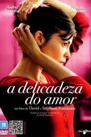 A Delicadeza do Amor (2011) Online