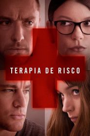 Terapia de Risco (2013) Online