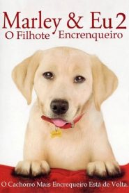 Marley & Eu 2 – Filhote Encrenqueiro (2011) Online