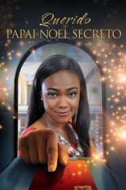 Querido Papai Noel Secreto (2013) Online