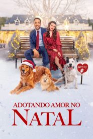 Adotando Amor no Natal (2021) Online