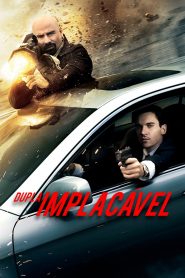 Dupla Implacável (2010) Online