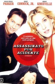 Assassinato por Acidente (2002) Online