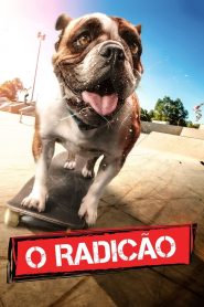 O Radicão (2018) Online