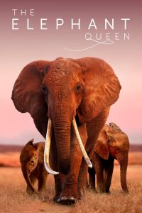 The Elephant Queen (2019) Online