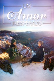 Um Amor Inesperado (2019) Online